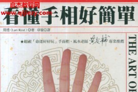 瑞德著看懂手相好简单电子书pdf百度网盘下载学习