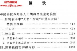 野鹤毅著野鹤功实用法门电子书pdf百度网盘下载学习