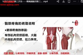 芮喜东芮氏通脉活筋三步法视频课程12集百度网盘下载学习