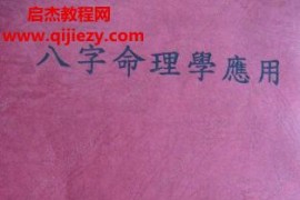 林园理八字命理学应用电子书pdf百度网盘下载学习
