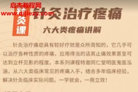 鬼医泓涵针灸快速治疗六大类疼痛一学就会一用立效视频课程11集百度网盘下载学习