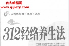 祝总骧主讲312经络养生法电子书pdf百度网盘下载学习