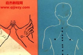 罗振宇著子午流注气功点穴法电子书pdf百度网盘下载学习