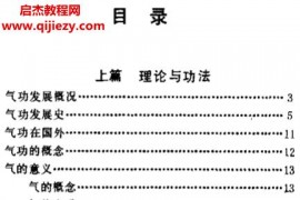 刘文清著医疗气功精粹电子书pdf百度网盘下载学习