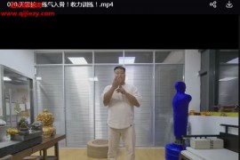 霍飞龙打通周天升阳天罡功每日必练视频课程25集百度网盘下载学习
