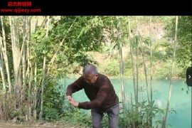 五禽图教学视频课程+五禽图手抄笔记陈亚梅版百度网盘下载学习
