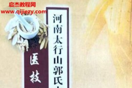 河南太行山郭氏中医医技妙手秘方电子书pdf百度网盘下载学习