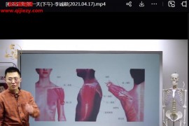 李诚毅课程合集李诚毅扁鹊神应四象针五官导引法华佗摸骨解筋术松筋活骨百度网盘下载学习