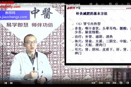 孙永军针刺减肥精准辨证取穴减肥不伤身视频课程14集百度网盘下载学习