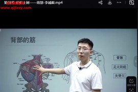 李泽波全集李泽波扁鹊神应四象针华佗摸骨解筋术寻经解筋术视频课程合集百度网盘下载学习
