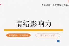 人生必修自我探索与人格成长的100堂课音频配套课件百度网盘下载学习