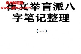 崔文举盲派八字笔记整理两本电子书pdf百度网盘下载学习