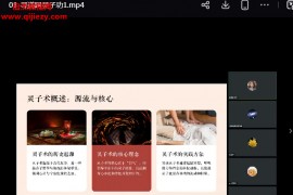 张至顺道长传人直播传授道家内功秘法灵子术让元气布满全身视频课程8集百度网盘下载学习