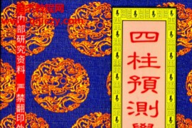 张社华著四柱预测学绝招集电子书pdf百度网盘下载学习