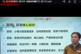 中域张兰方孙思邈罐法视频课程30集百度网盘下载学习