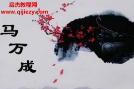 马万成著万成说易上下册电子书pdf百度网盘下载学习