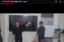 张伟张氏平衡力学术线下班视频课程29集百度网盘下载学习