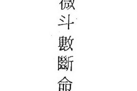 紫微斗数断命法电子书pdf百度网盘下载学习