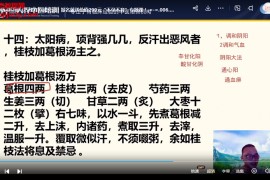 第8届偌水古经方网络班金匮要略和舌诊视频课程百度网盘下载学习