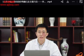 李泽波经络穴位视频课程18集百度网盘下载学习