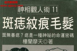楼兰摩天著斑痣纹痕毛发电子书pdf百度网盘下载学习