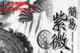 潘学山著简易紫微斗数技巧篇电子书pdf百度网盘下载学习