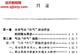 傅伟中著峨嵋外气诊治应用与硬气功电子书pdf百度网盘下载学习