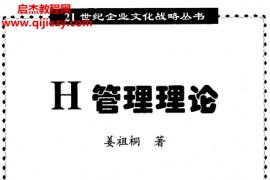 姜祖桐著H管理理论电子书pdf百度网盘下载学习