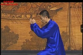 王晨阳道家导引术自用女丹视频课程+图解千年导引术电子书pdf百度网盘下载学习