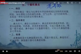 靳庆东靳氏截针鼻炎视频课程22集百度网盘下载学习