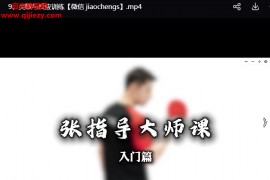 张继科乒乓球大师课视频课程百度网盘下载学习