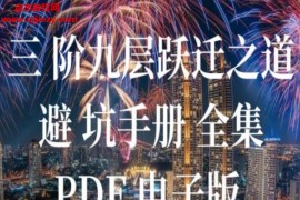 甄琦学长《三阶九层跃迁之道》电子书pdf百度网盘下载学习