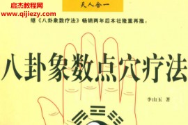 李山玉著八卦象数点穴疗法电子书pdf百度网盘下载学习