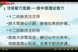 福旺耳医学门诊精讲耳穴治疗班视频课程14集ppt百度网盘下载学习