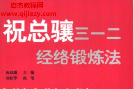 祝总骧主编祝总骧三一二经络锻炼法电子书pdf百度网盘下载学习