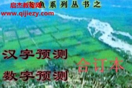 余庭春飞鱼汉字数字预测合集电子书pdf305页百度网盘下载学习