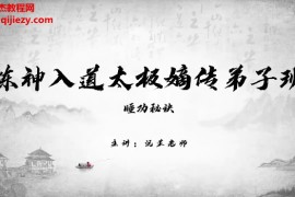 沅芷太极九转太极劲基础教学缠丝练气炼神入道太极嫡传弟子班视频课程百度网盘下载学习
