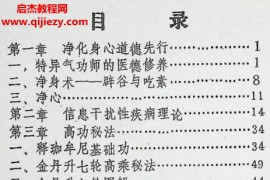 释印爱著佛家光明功电子书pdf百度网盘下载学习
