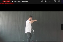 庞超内家拳形意拳内功太极拳站桩钻拳开拳短棍刺刀术三体式力学视频课程大合集百度网盘下载学习