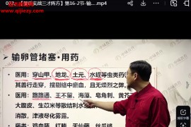 秦殿虎景岳实战三才阵方视频课程27集百度网盘下载学习