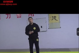 功夫者中国跤入门视频课程22集百度网盘下载学习