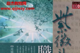 姜威国著紫微斗数职场致胜上下册电子书pdf百度网盘下载学习