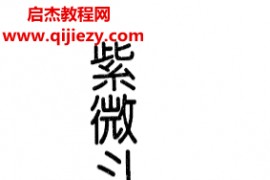 巫情居士著紫微斗数真髓电子书pdf百度网盘下载学习