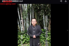 李度通脉功初级课全套视频课程16集通气脉诀窍+通气脉真章百度网盘下载学习