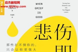 (美)辛迪芬奇著悲伤即成长电子书pdfmobiepub格式百度网盘下载学习