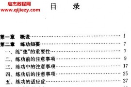 陈炎烽著先天一元气功电子书pdf百度网盘下载学习