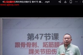李师立太素十五络关两仪灵刺术线上课视频课程50集百度网盘下载学习