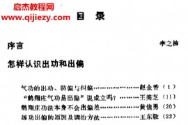 庄气功修炼指南电子书pdf百度网盘下载学习