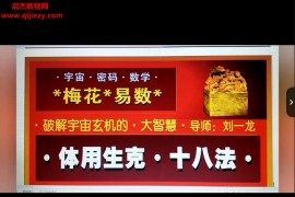 刘一龙周易梅花易数体用生克法视频课程58集百度网盘下载学习