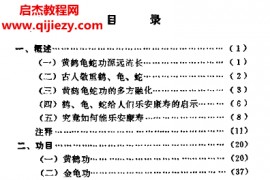 荣亮著黄鹤龟蛇功电子书pdf百度网盘下载学习